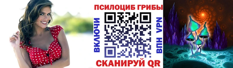 Псилоцибиновые грибы Cubensis  Купить  Звенигород 